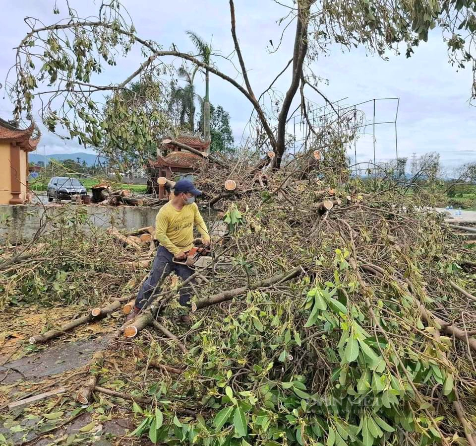 Nông dân Quảng Bình làm ruốc sả, đưa thuyền nan ra hỗ trợ người dân vùng lũ phía Bắc - Ảnh 5.