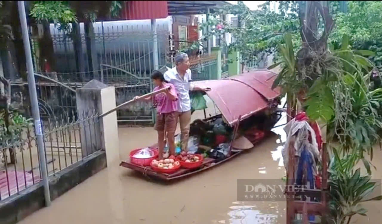 Mực nước sông Hoàng Long ở Ninh Bình lên đã lên 4,77 mét - Ảnh 8.