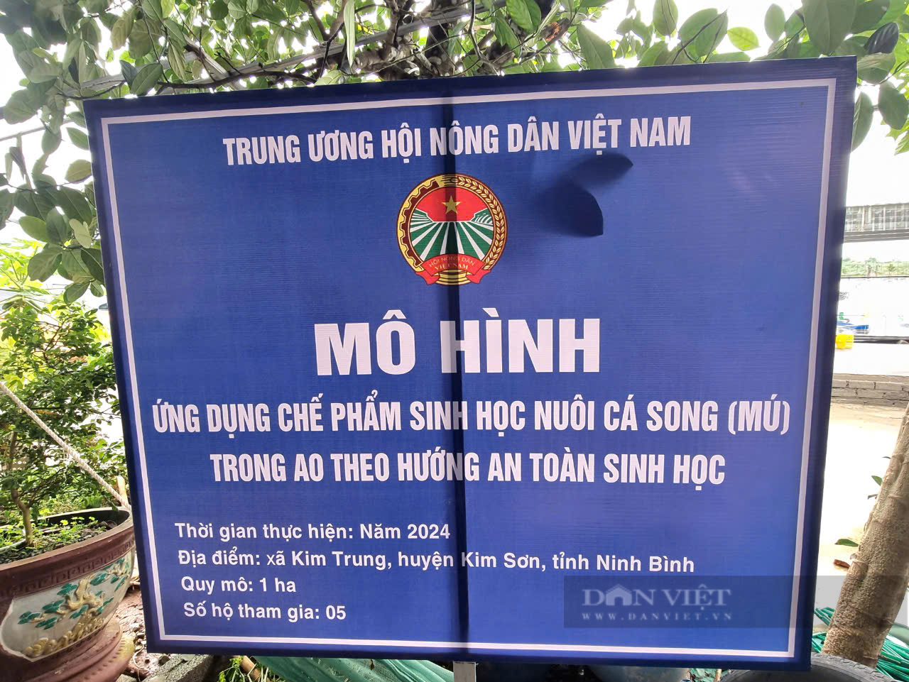 Ninh Bình: Giao cá song, thức ăn, chế phẩm nuôi cá song cho hội viên, nông dân Kim Sơn - Ảnh 4.