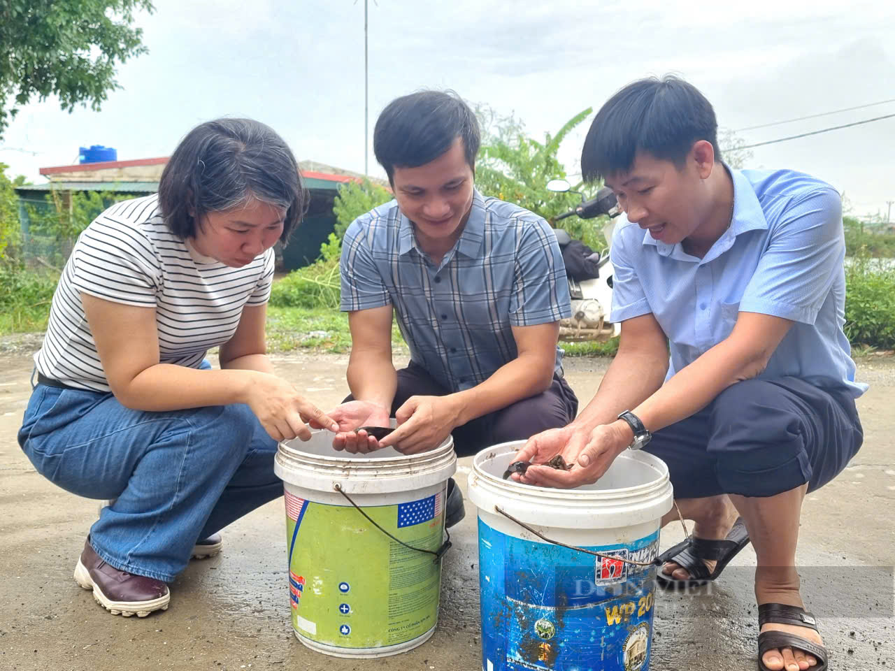 Ninh Bình: Giao cá song, thức ăn, chế phẩm nuôi cá song cho hội viên, nông dân Kim Sơn - Ảnh 10.