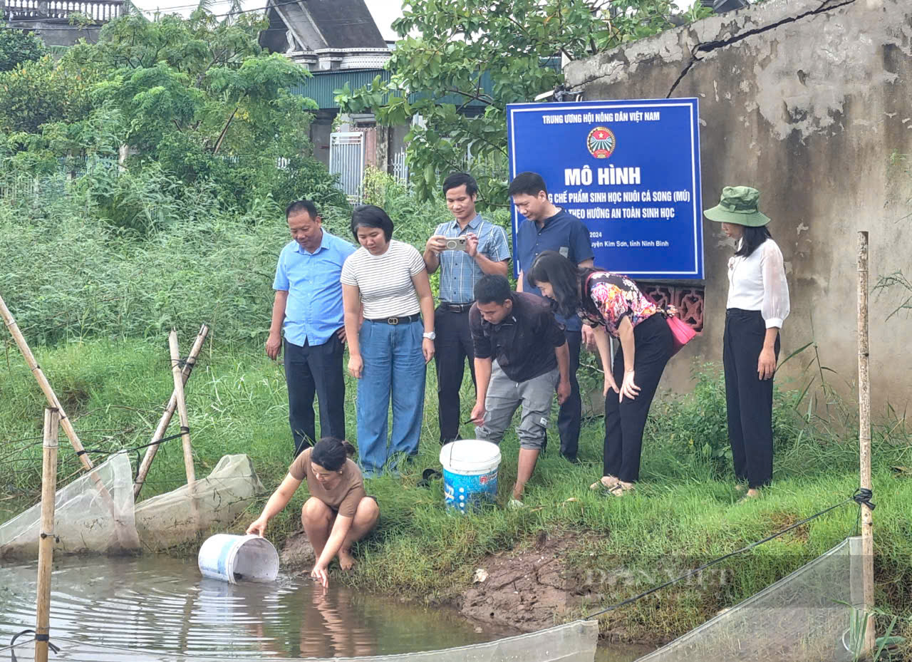 Ninh Bình: Giao cá song, thức ăn, chế phẩm nuôi cá song cho hội viên, nông dân Kim Sơn - Ảnh 5.