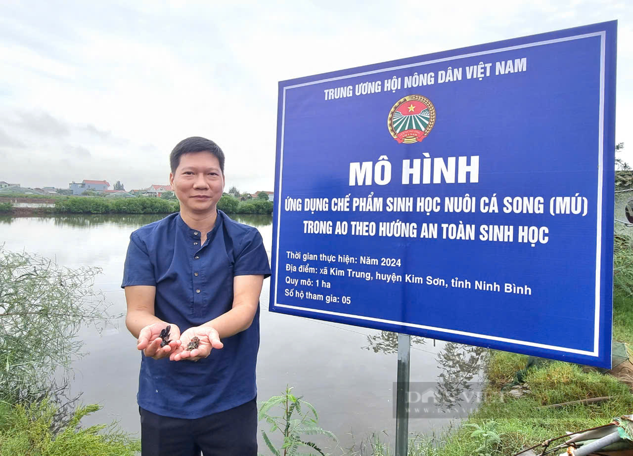 Ninh Bình: Giao cá song, thức ăn, chế phẩm nuôi cá song cho hội viên, nông dân Kim Sơn - Ảnh 7.