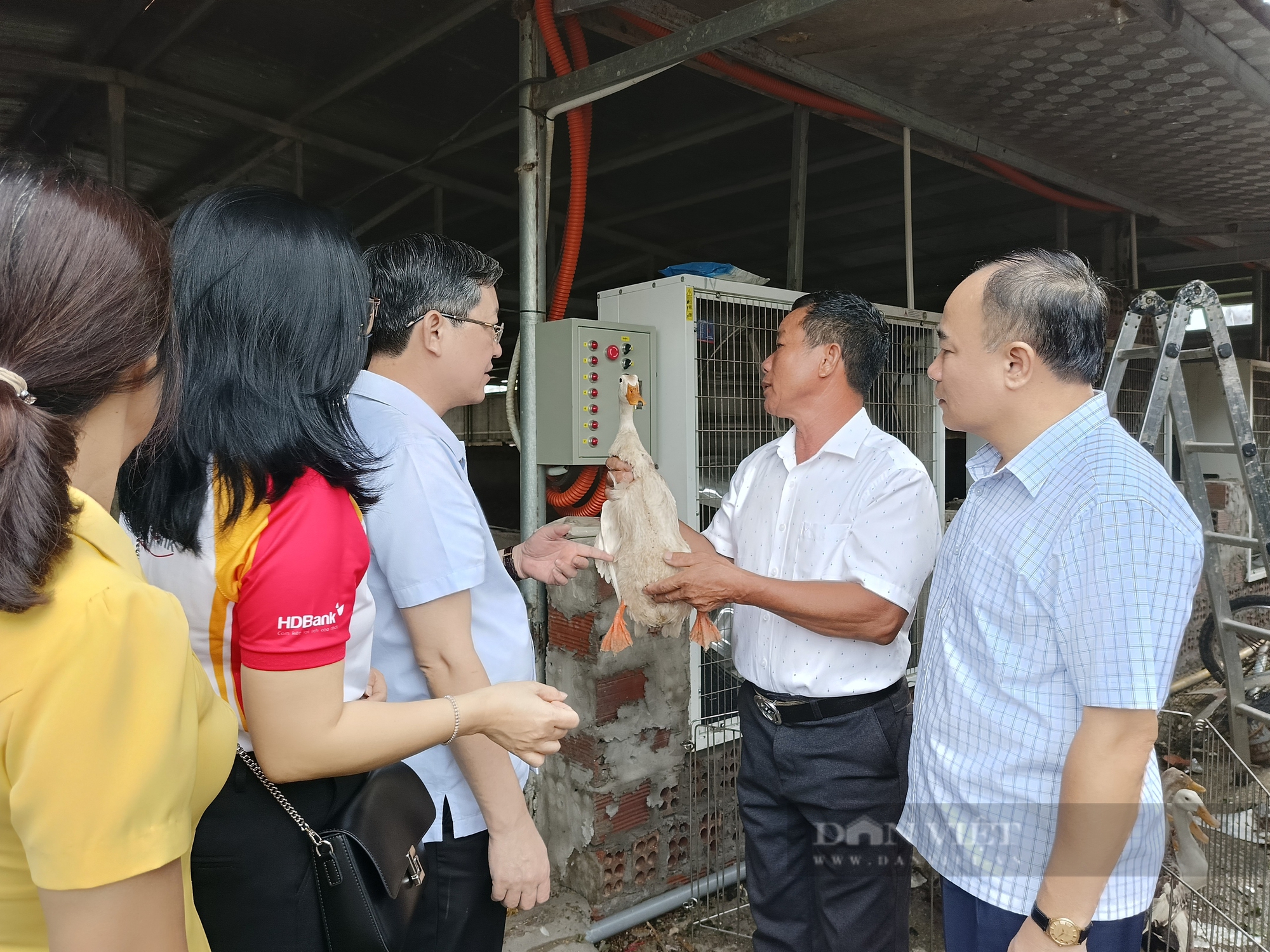 Chủ tịch Hội NDVN Lương Quốc Đoàn thăm hỏi, trao quà tới hội viên nông dân ở Quảng Ninh bị thiệt hại do bão Yagi - Ảnh 2.