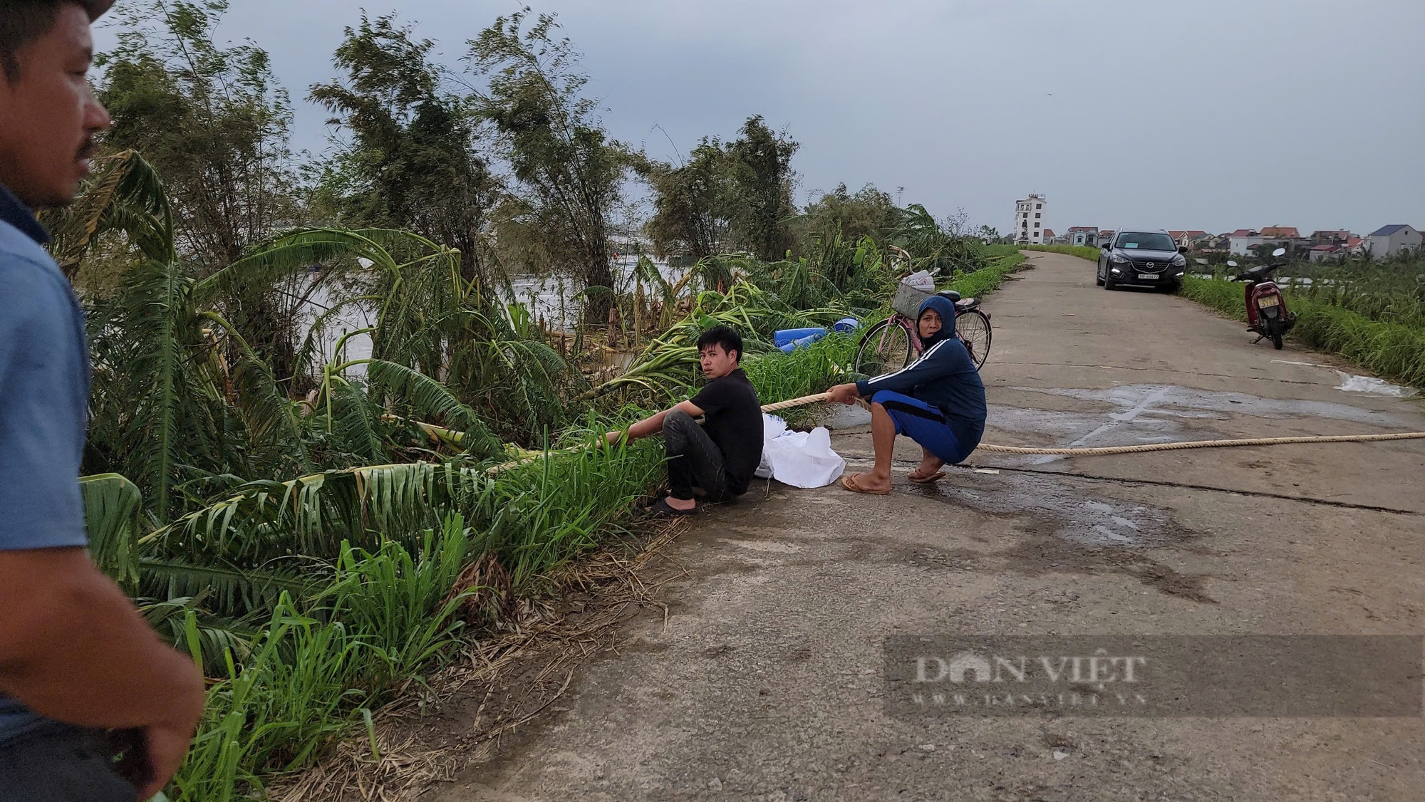 Hải Dương: Nông dân nuôi cá lồng trên sông Thái Bình ở Nam Sách thất thần bởi thiệt hại do lũ - Ảnh 4.