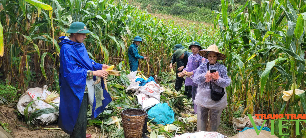 Nghĩa tình quân dân trong cơn mưa bão - Ảnh 5.