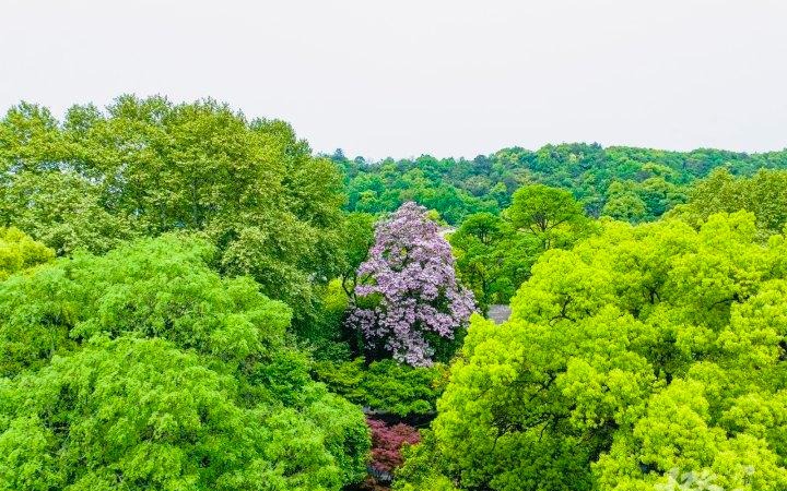 Người sinh ngày Âm lịch này có số "ngậm thìa vàng", quý nhân giúp đỡ, cả đời vô ưu, không lo cơm áo - Ảnh 4.