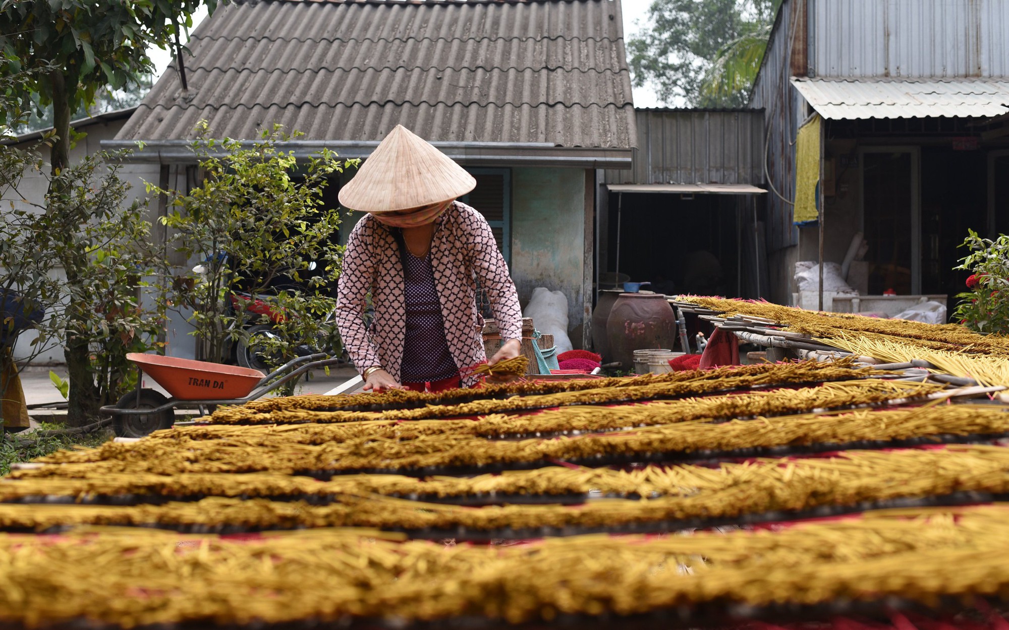 “Đánh thức” Làng nghề trồng mai xã Tân Tây để làm du lịch nông thôn - Ảnh 2.