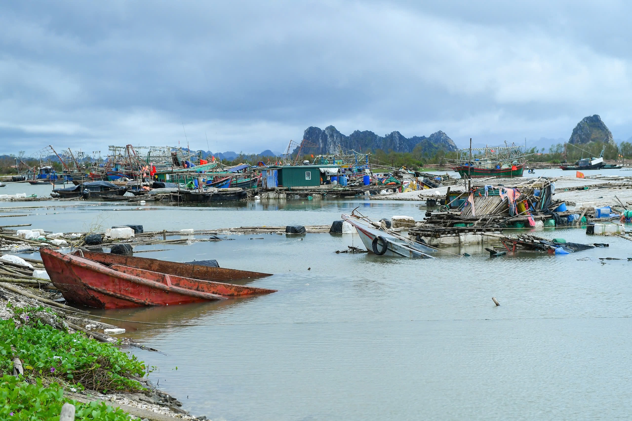 "Mất trắng" hàng tỷ đồng do bão Yagi: Người dân mất khả năng trả nợ, ngân hàng nhập cuộc- Ảnh 1.