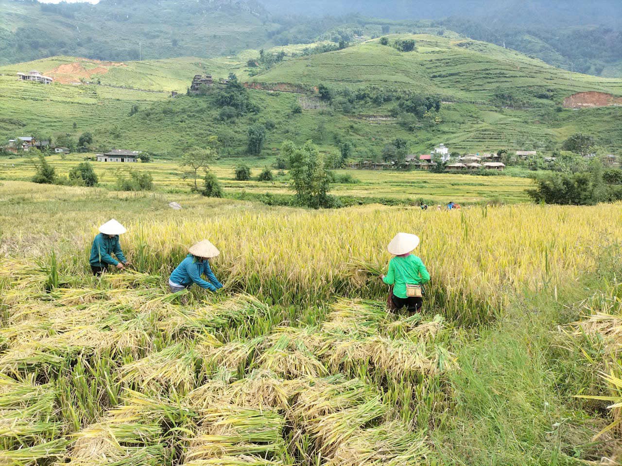 Lào Cai tập trung khắc phục hậu quả bão lũ, sạt lở đất, ổn định sản xuất- Ảnh 3.