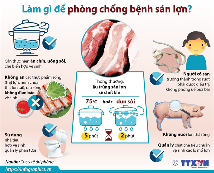 Đau ngực gáy, ho nhiều hoá ra mắc sán lợn- Ảnh 2.