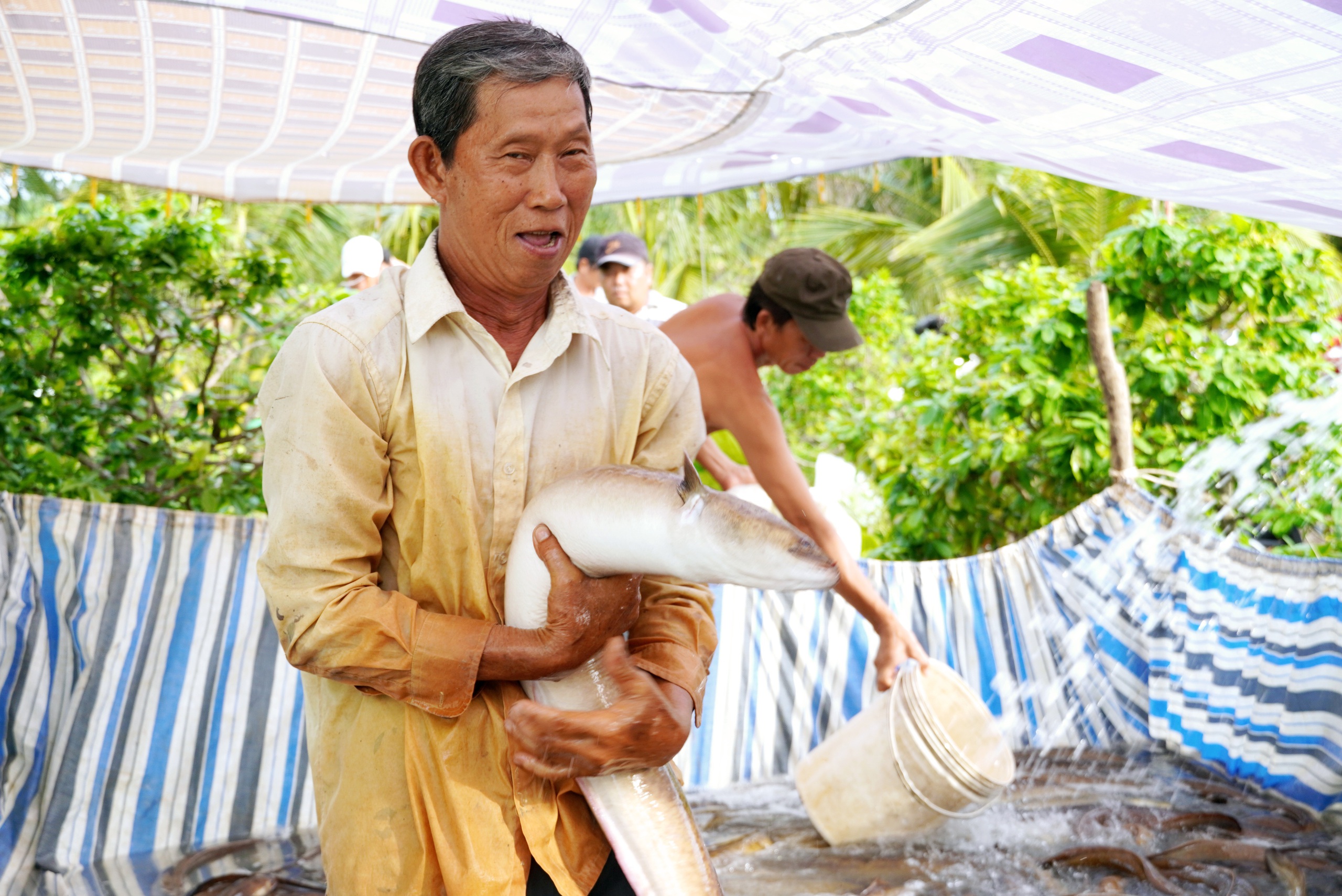 Tỷ phú nuôi cá chình đặc sản ở Cà Mau lần thứ 2 được bình chọn là Nông dân Việt Nam xuất sắc- Ảnh 3.