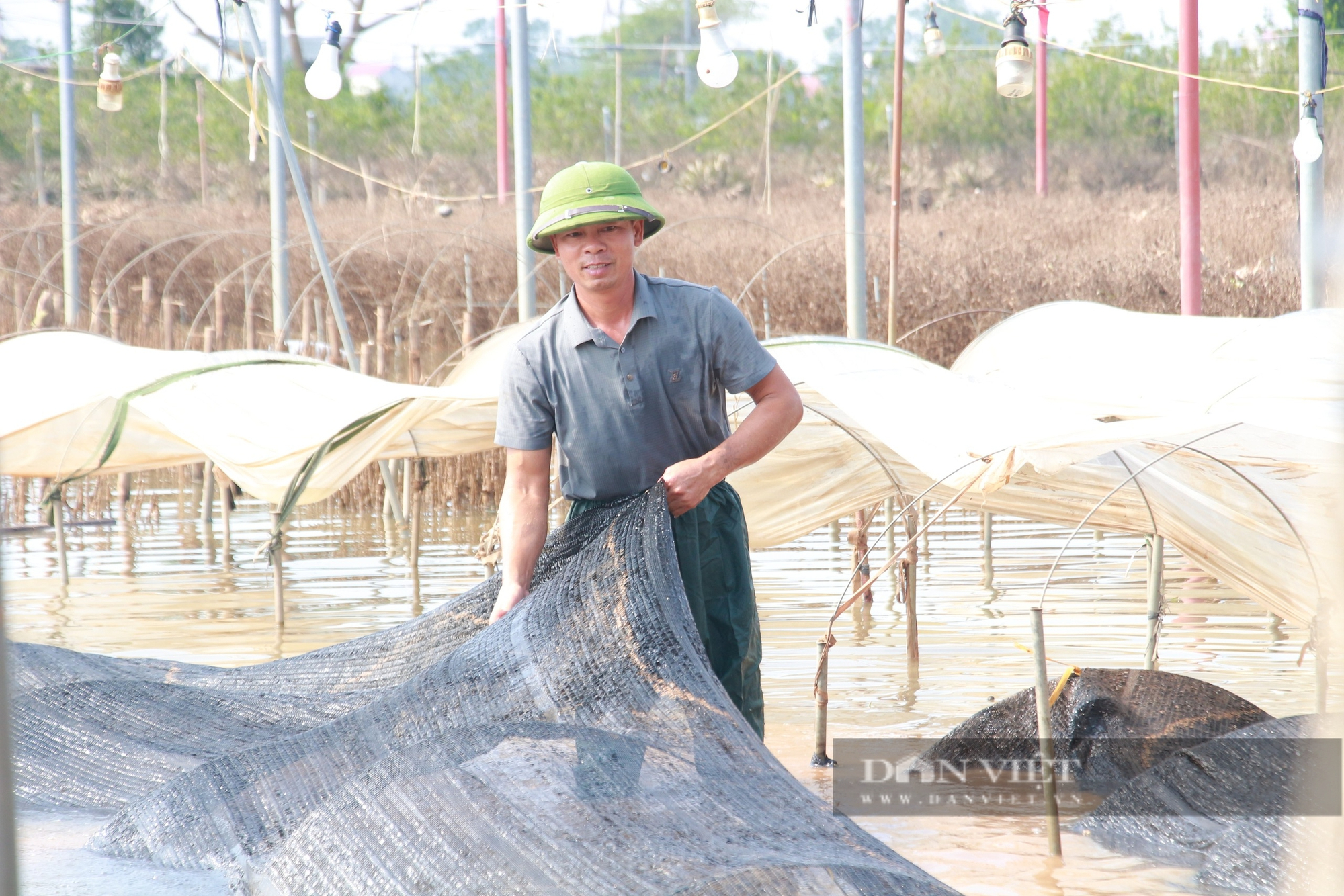 Tan hoang một làng hoa nổi tiếng đất Nam Định, cánh đồng tiền tỷ đang thối rửa, nông dân mất sạch- Ảnh 1.