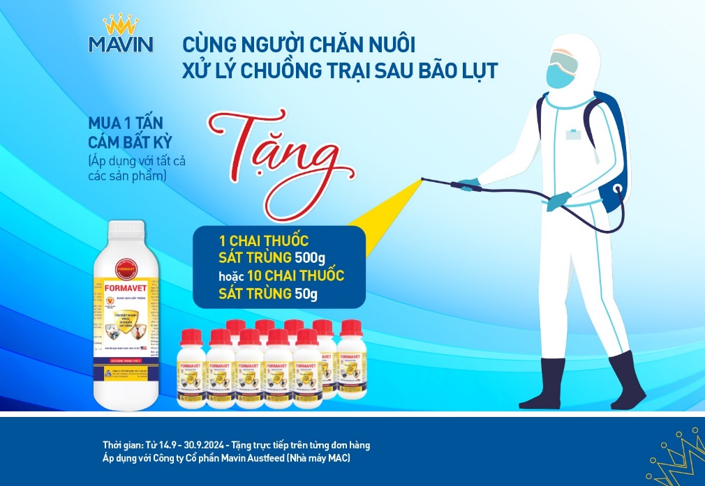 Tặng 5.000 chai Formavet hỗ trợ người chăn nuôi khắc phục hậu quả bão Yagi- Ảnh 1.