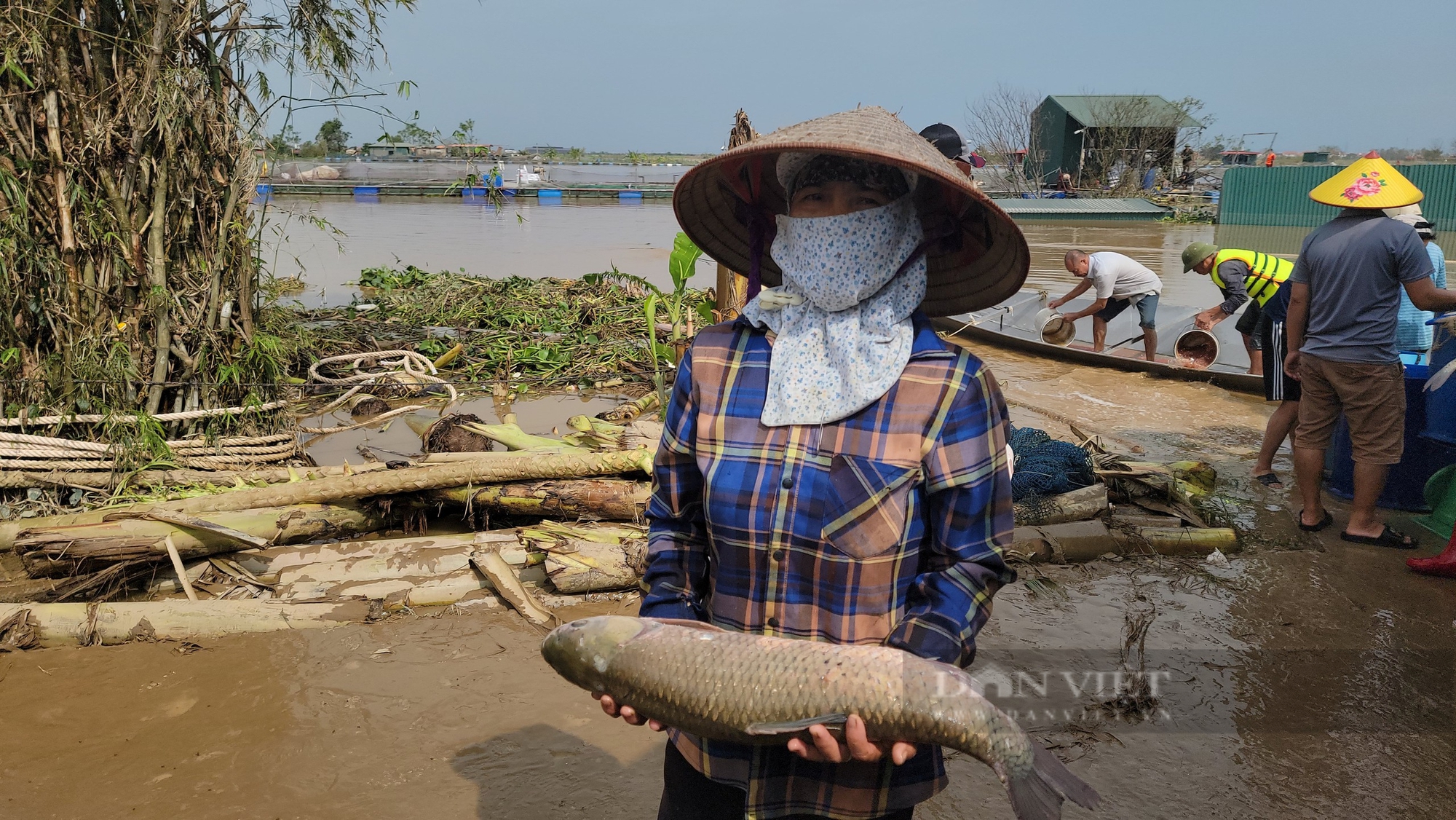 Hải Dương: Kêu gọi hỗ trợ, mua ủng hộ 3.500 lồng cá nuôi trên sông của nông dân bị ảnh hưởng sau lũ- Ảnh 8.