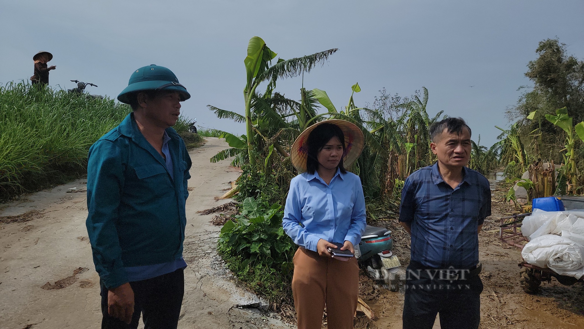 Hải Dương: Kêu gọi hỗ trợ, mua ủng hộ 3.500 lồng cá nuôi trên sông của nông dân bị ảnh hưởng sau lũ- Ảnh 2.