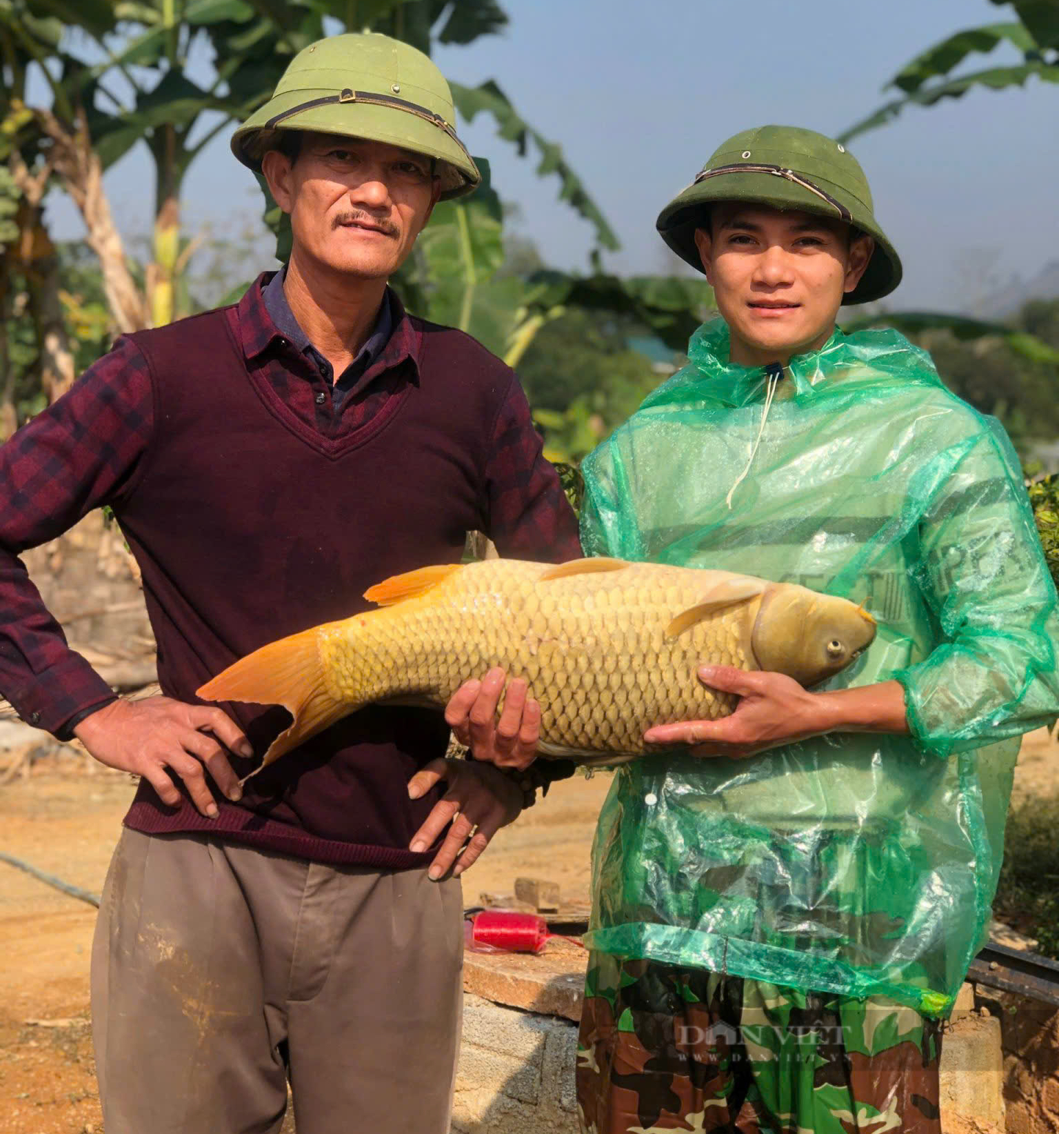 Nông dân xuất sắc Việt Nam ở Lào Cai đi lên từ con số 0 - Ảnh 8.