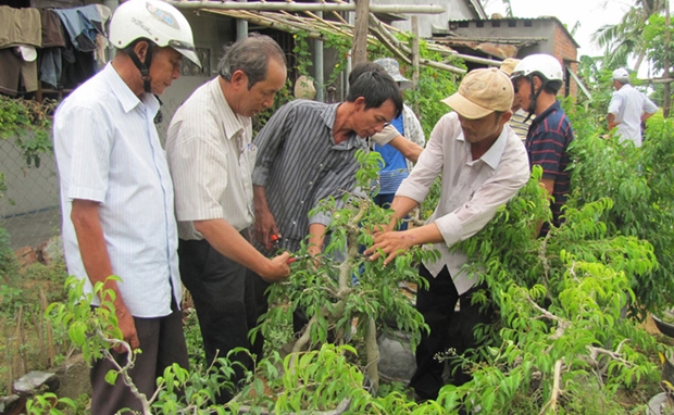 5 nhiệm vụ trọng tâm của Hội NDVN thực hiện Chỉ thị 37 của Ban Bí thư về đổi mới công tác đào tạo nghề - Ảnh 2.