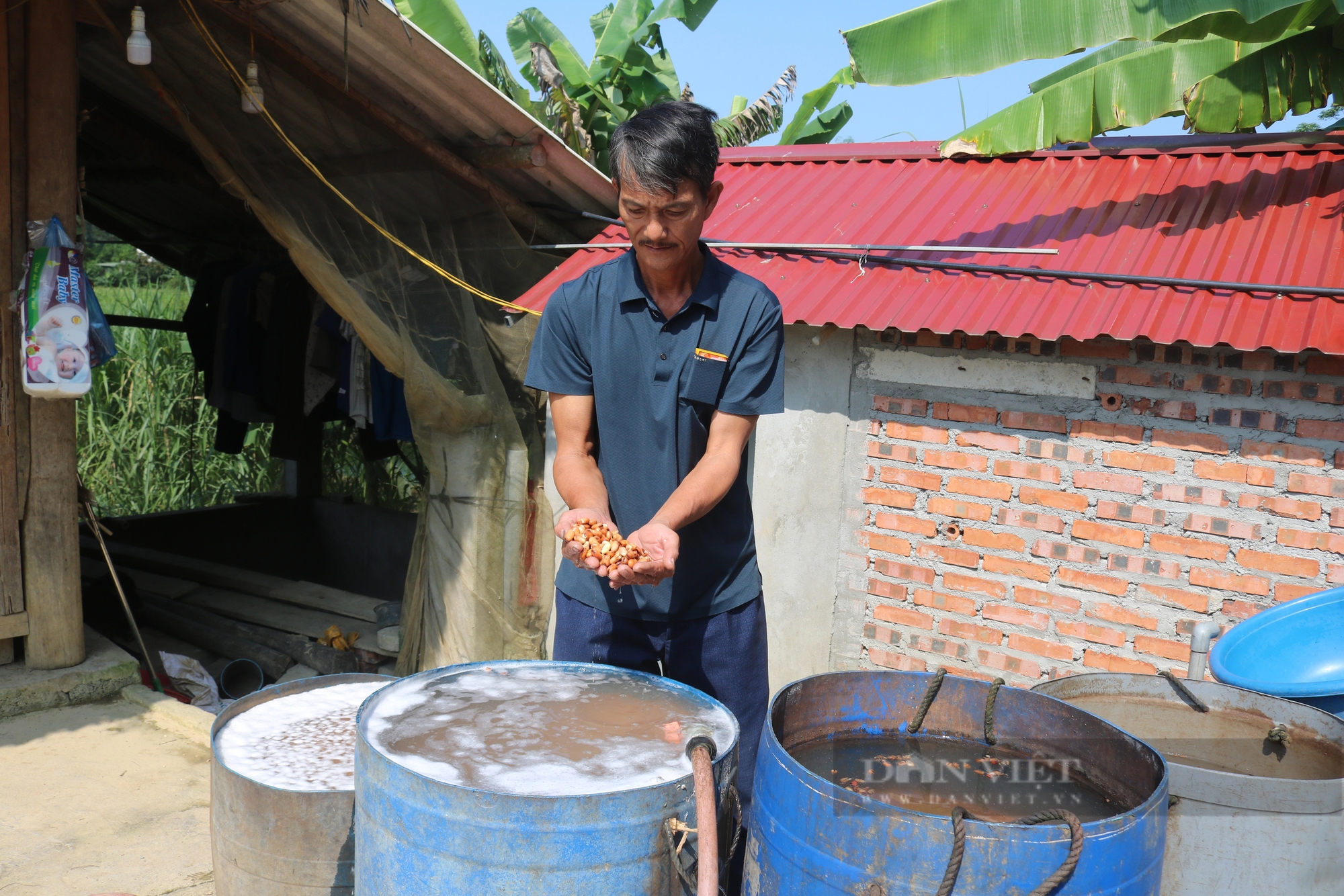 Nông dân xuất sắc Việt Nam ở Lào Cai đi lên từ con số 0 - Ảnh 4.