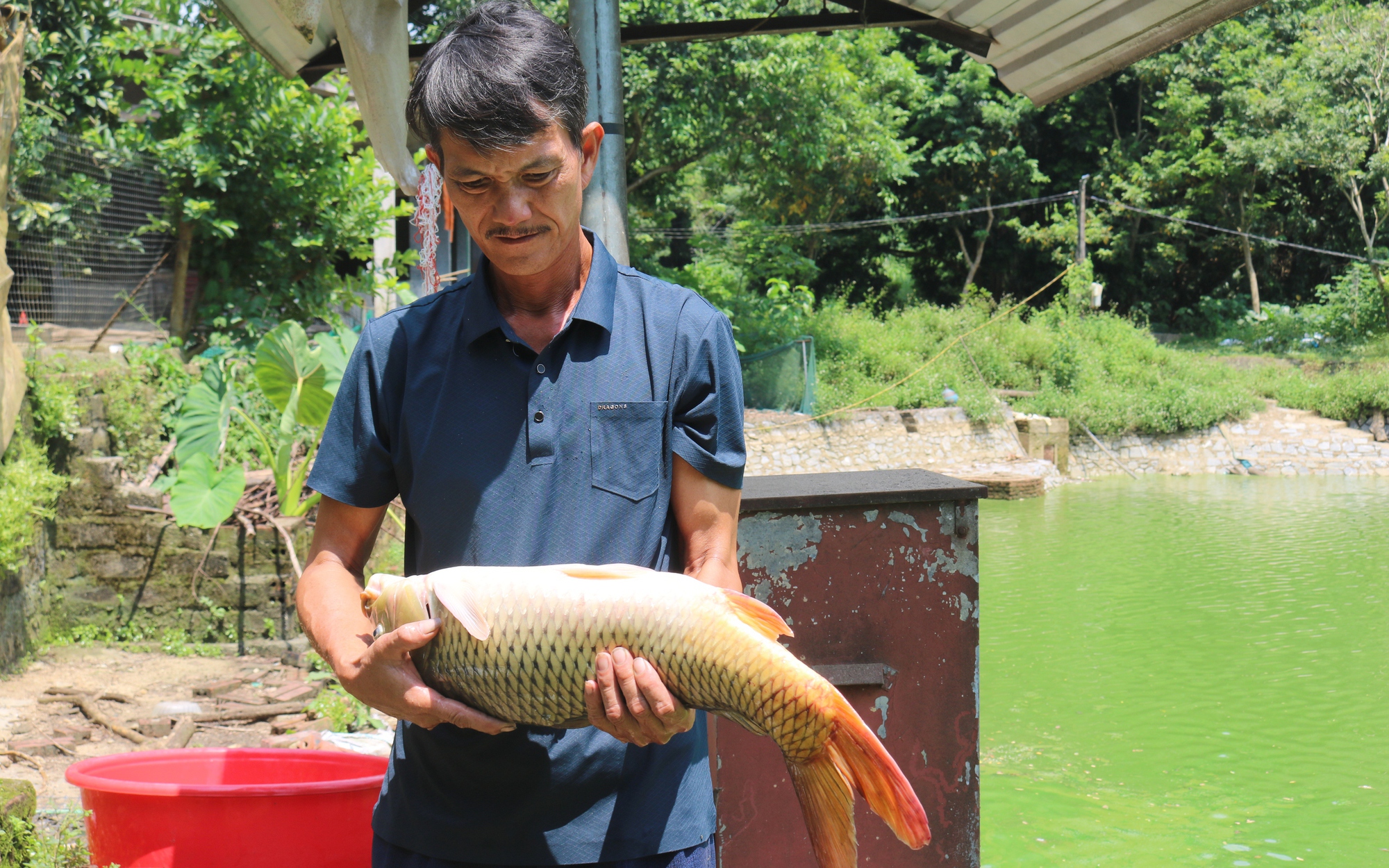 Các nữ tỷ phú kể chuyện đời, chuyện nghề, vượt qua nghịch cảnh tại CT Tự hào Nông dân Việt Nam - Ảnh 9.