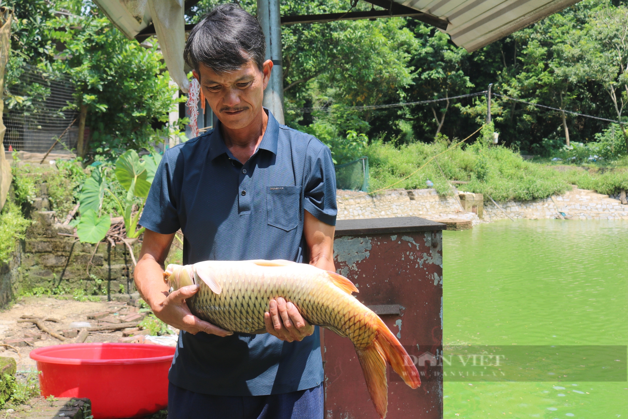 Nông dân xuất sắc Việt Nam ở Lào Cai đi lên từ con số 0 - Ảnh 7.