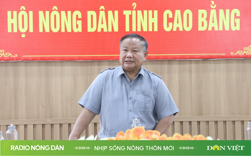 Nhịp sống nông thôn mới ngày 16/9/2024 - Ảnh 1.