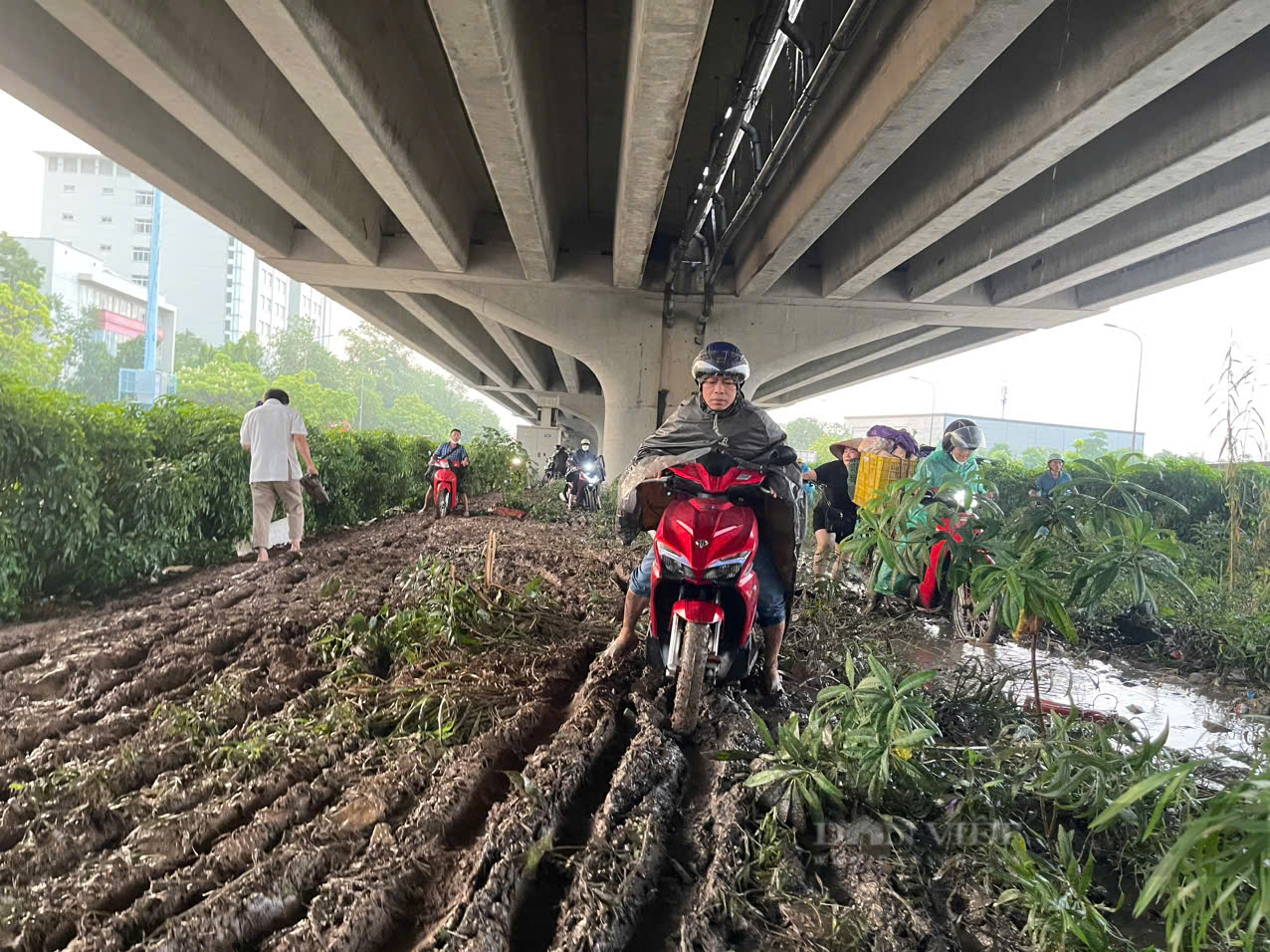 Hà Nội: Đường ngập sâu sau mưa lớn, ô tô chết máy, xe máy phá nát dải phân cách tìm đường “thoát thân”- Ảnh 9.