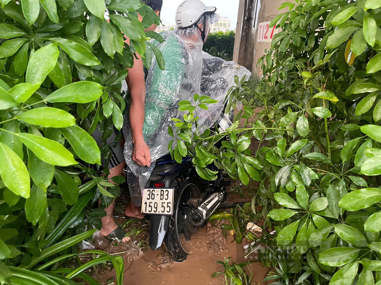 Hà Nội: Đường ngập sâu sau mưa lớn, ô tô chết máy, xe máy phá nát dải phân cách tìm đường “thoát thân”- Ảnh 8.