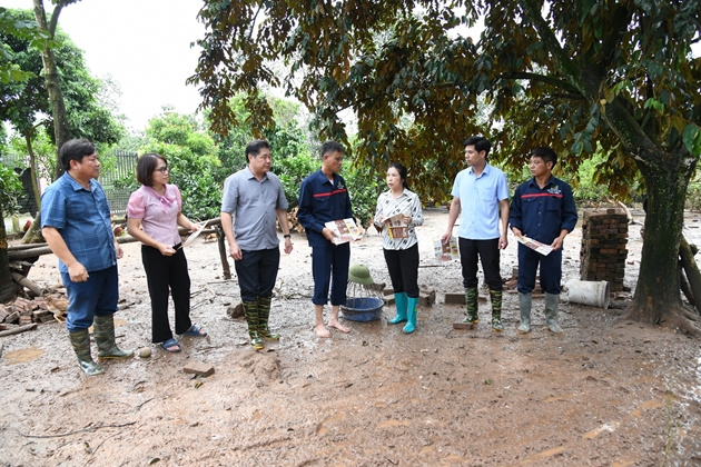 Trung tâm Khuyến nông QG ban hành hướng dẫn khôi phục sản xuất nông nghiệp sau bão lũ - Ảnh 1.