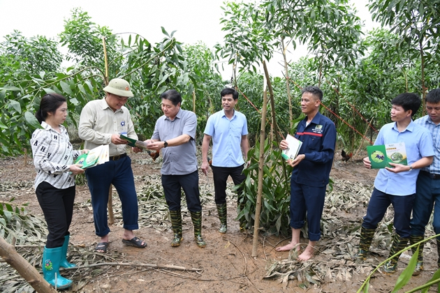 Trung tâm Khuyến nông QG ban hành hướng dẫn khôi phục sản xuất nông nghiệp sau bão lũ - Ảnh 2.