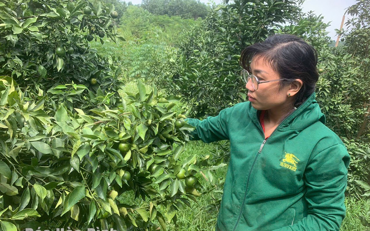 Trồng cây ăn trái đặc sản lời 2 tỷ/năm, một người Bình Dương là Nông dân Việt Nam suất sắc 2024 - Ảnh 7.