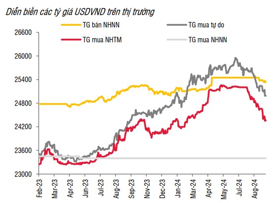 Giá USD hôm nay 17/9: Tỷ giá "chợ đen" ít biến động- Ảnh 3.