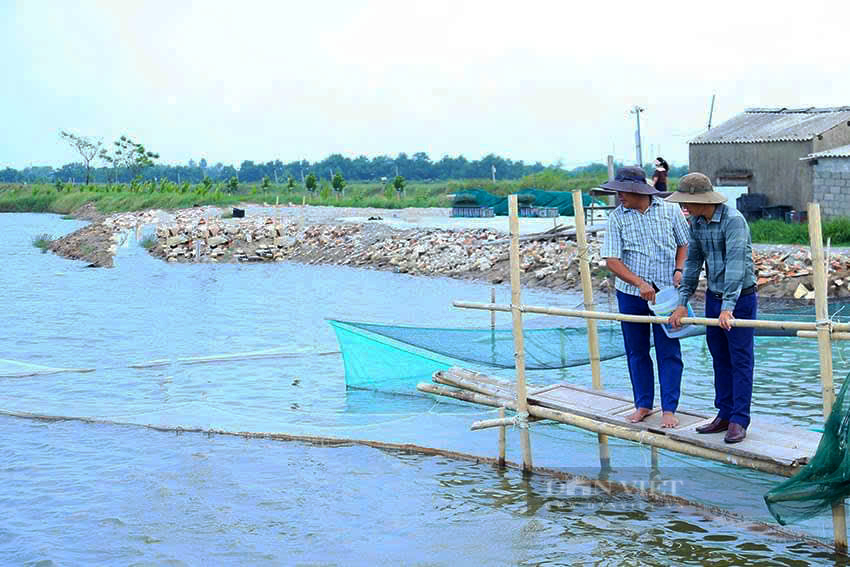 Nuôi thủy sản xen ghép cho lợi nhuận trên 250 triệu đồng/ha, hướng đi mới cho nông nghiệp TP Hà Tĩnh- Ảnh 3.