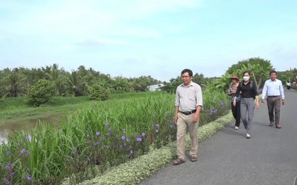 Dừa khô, loại quả khô giàu dinh dưỡng bất ngờ tăng giá tốt ở Tiền Giang, nhà nào bán là trúng đậm - Ảnh 3.