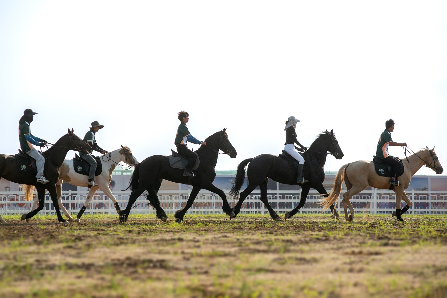 Yagi chào đời tại Học viện cưỡi ngựa Vinpearl Horse Academy Vũ Yên: Câu chuyện sinh nở hồi hộp đến 