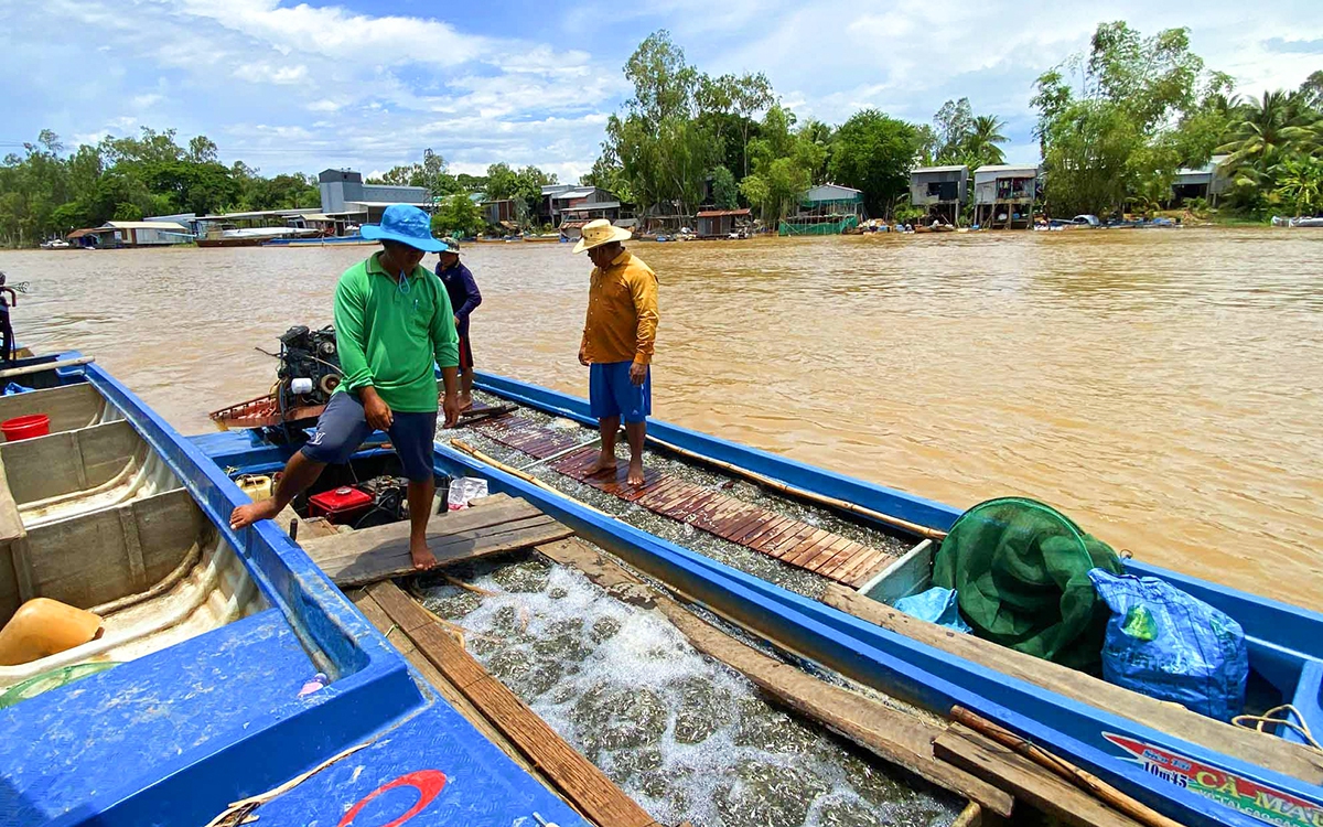 Cung điện nào của nhà Nguyễn ở kinh đô Huế có quy mô kiến trúc đồ sộ nhất, vua xây cho ai ở? - Ảnh 2.