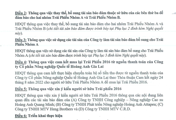 Hoàng Anh Gia Lai sửa đổi loạt điều kiện của lô trái phiếu trị giá hơn 6.500 tỷ- Ảnh 2.