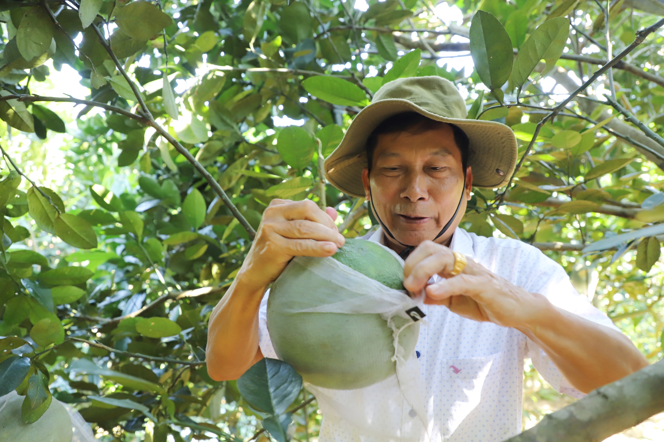 Động lực nào giúp nông dân một huyện nghèo ở Hà Giang nâng cao thu nhập, giảm nghèo bền vững - Ảnh 2.