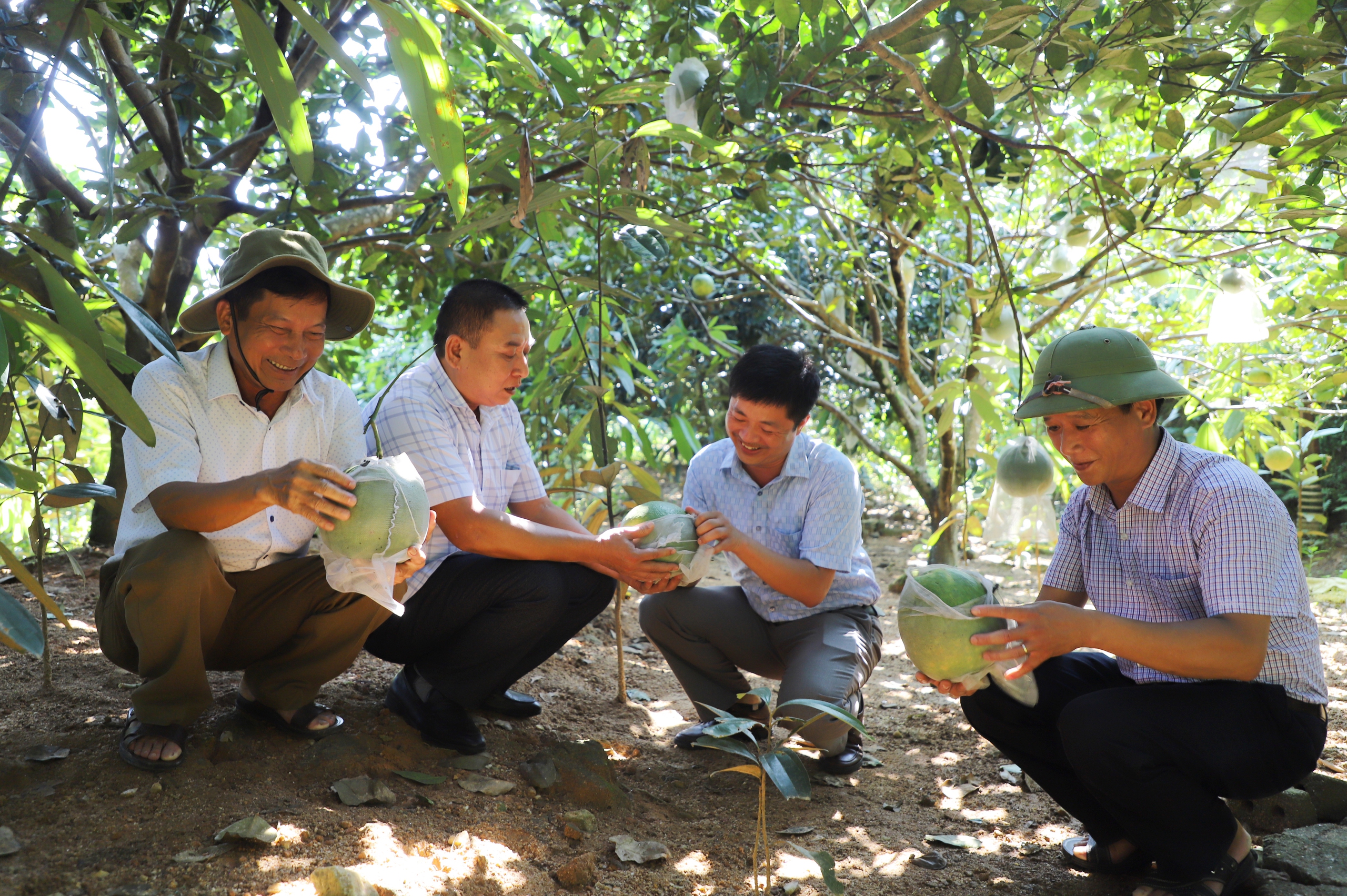 Động lực nào giúp nông dân một huyện nghèo ở Hà Giang nâng cao thu nhập, giảm nghèo bền vững - Ảnh 1.