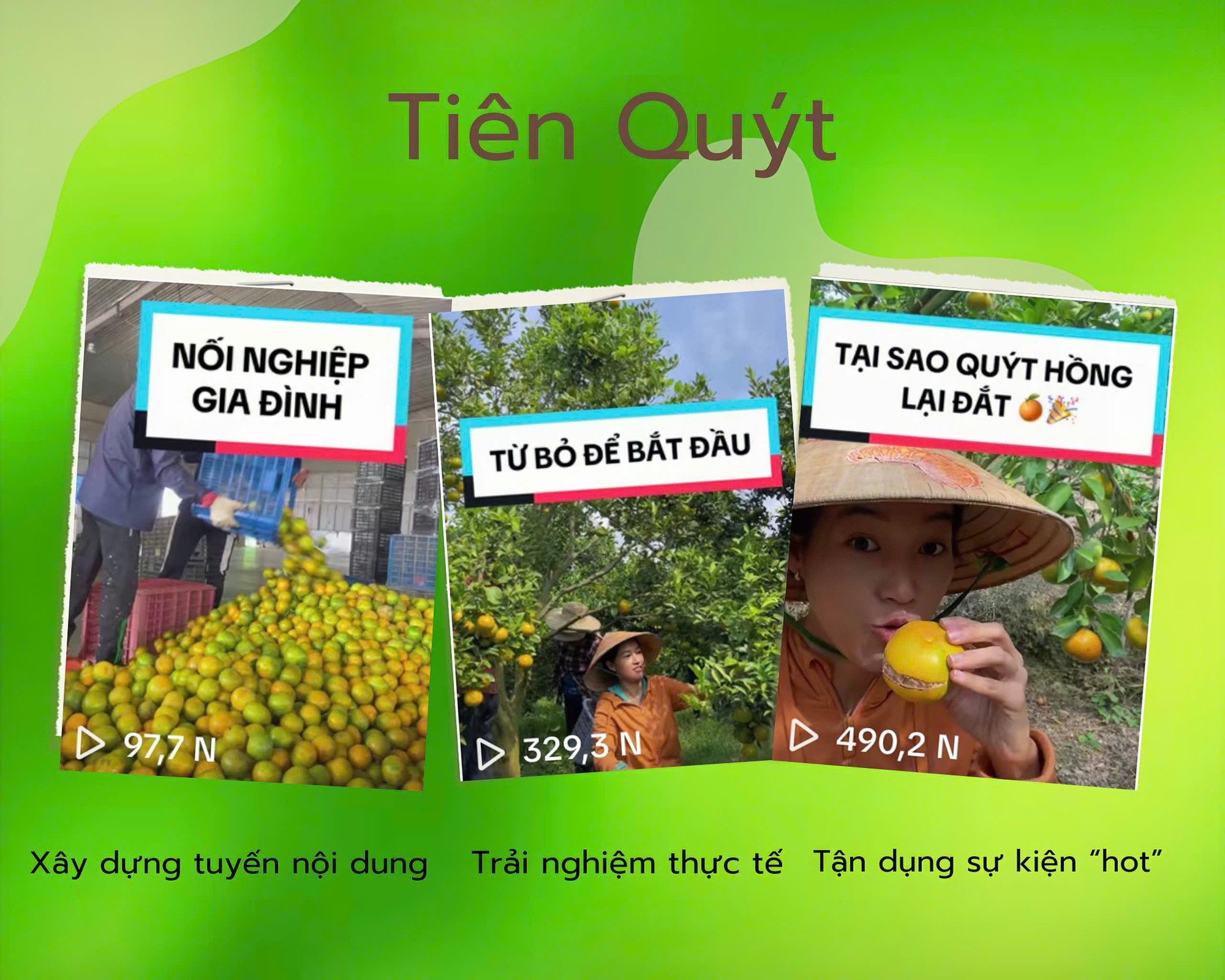 Cuộc chơi nào dành cho nông sản khi “lên sàn”: Từ việc lập kênh TikTok chia sẻ chuyện bán cam, bán quýt (bài 1) - Ảnh 4.