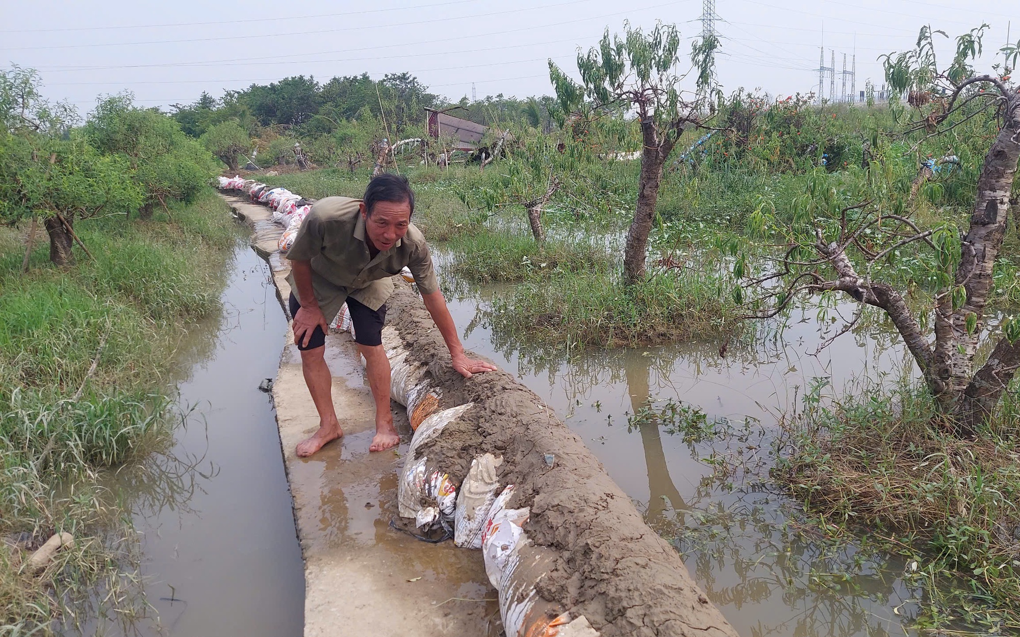 Nông dân Việt Nam xuất sắc 2024 đến từ Tây Ninh là tỷ phú trồng lúa, trồng cao su lời 5 tỷ/năm - Ảnh 4.