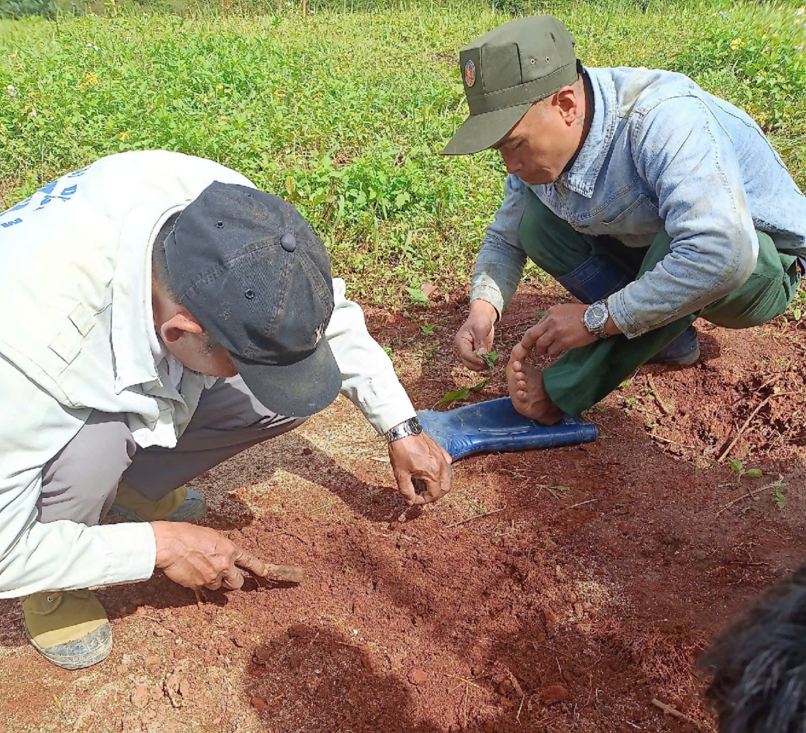 Lực lượng giải tỏa đất lâm nghiệp bị lấn chiếm dẫm phải "bẫy kim tiêm" gắn trên tấm gỗ - Ảnh 1.