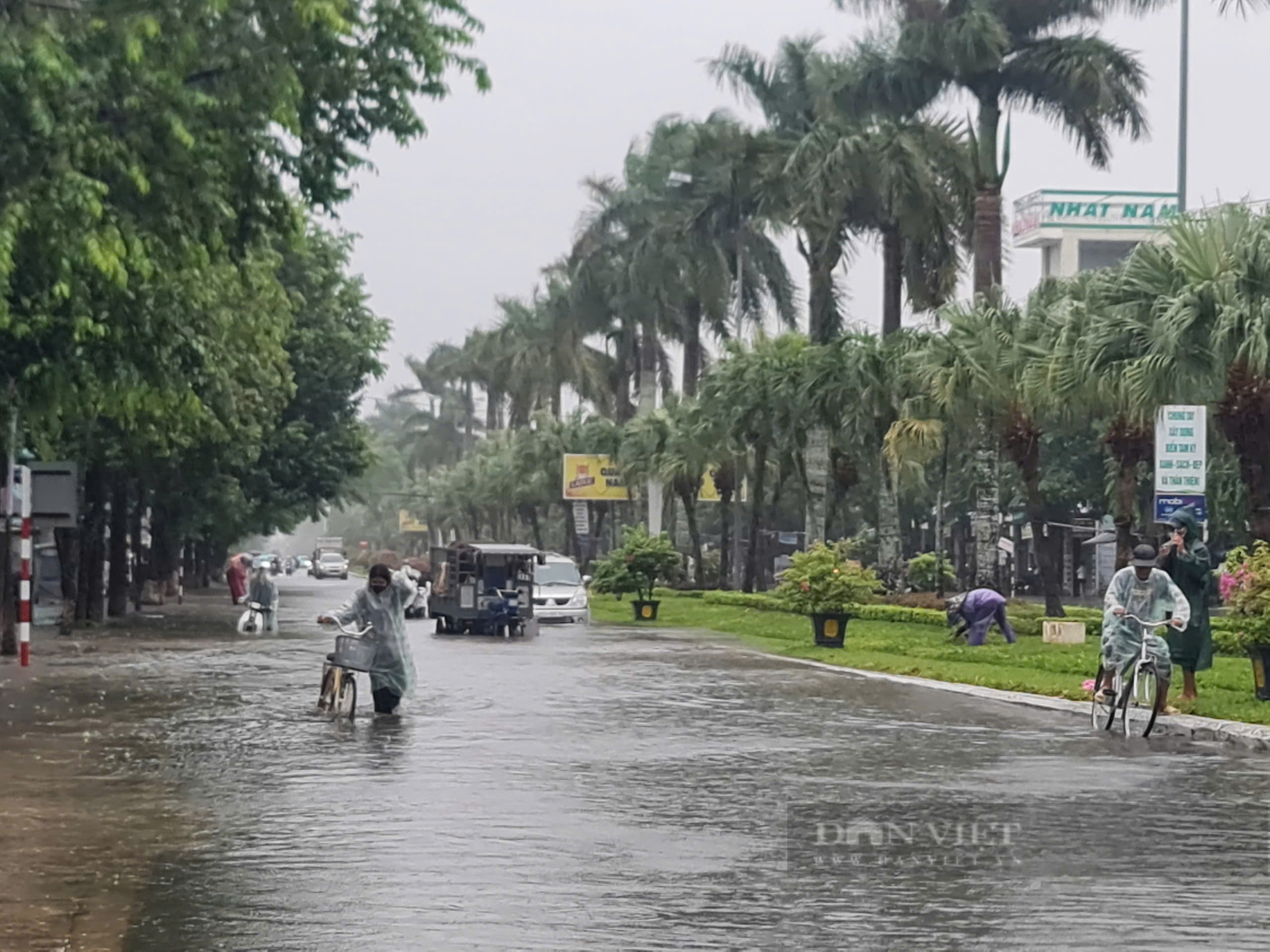 Mưa trắng trời, nhiều tuyến đường và vùng trũng ở Quảng Nam ngập sâu - Ảnh 2.