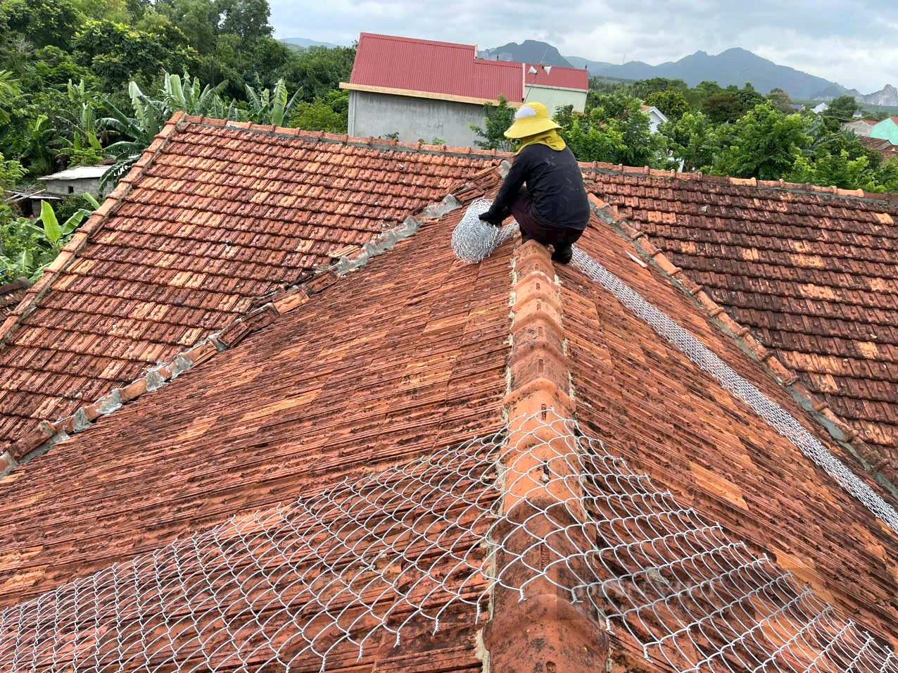 Áp thấp nhiệt đới sắp mạnh lên thành bão số 4: Người dân Quảng Bình gia cố lại nhà cửa phòng chống bão - Ảnh 1.