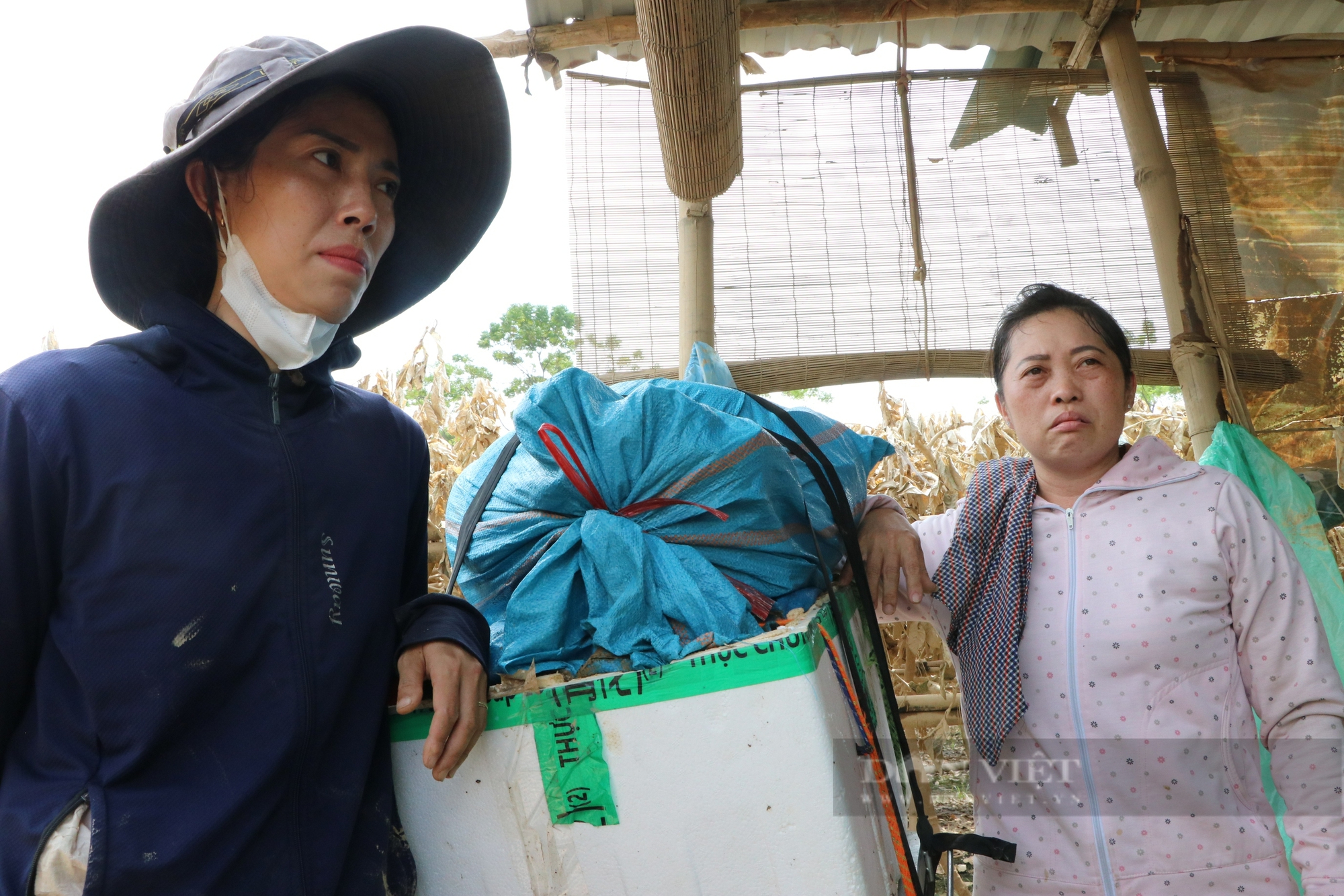 Nông dân gượng dậy thế nào sau bão Yagi: Những "bàn tay" phật thủ... trôi theo lũ, một xã mất 250 tỷ đồng (Bài 1) - Ảnh 15.