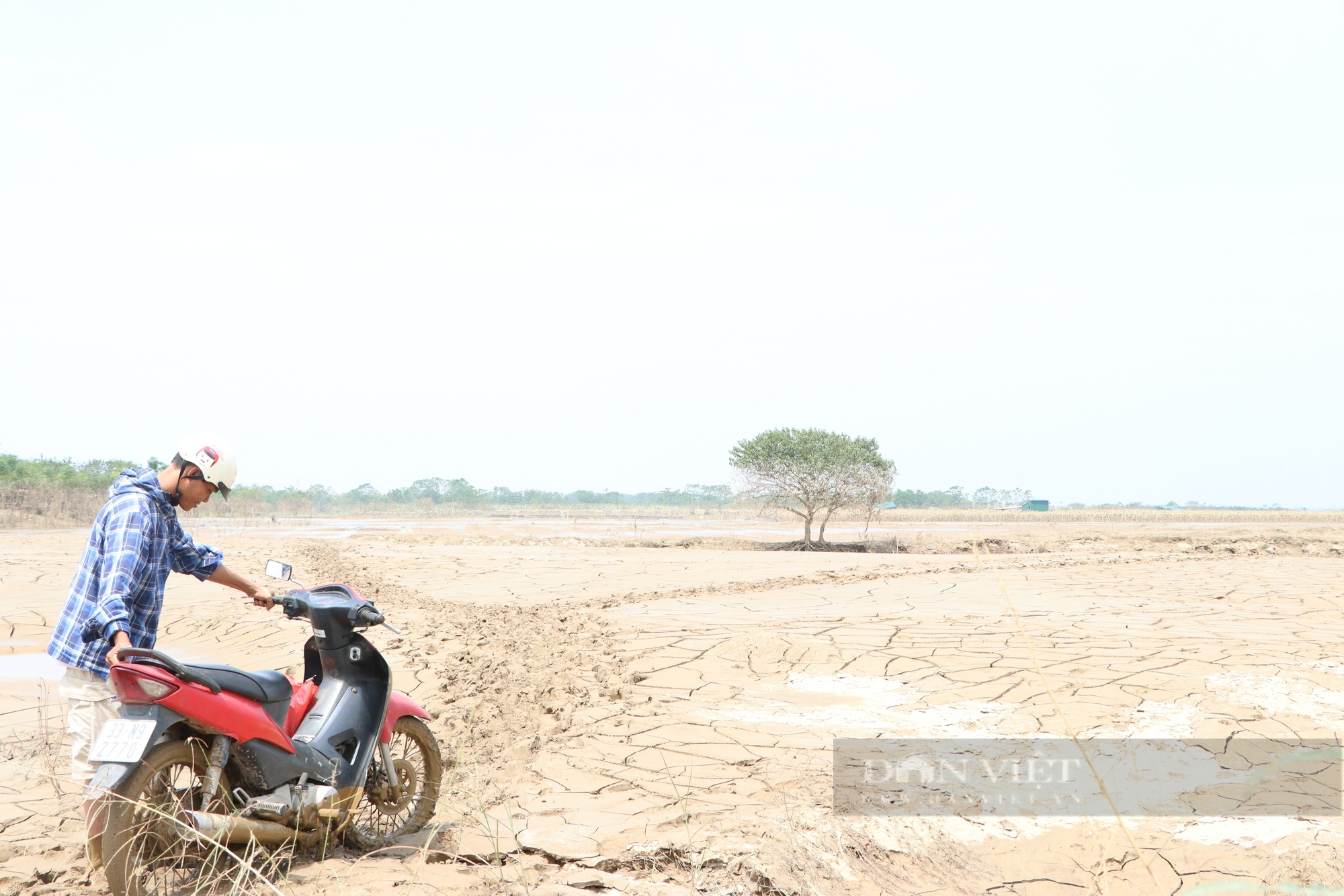 Nông dân gượng dậy thế nào sau bão Yagi: Những "bàn tay" phật thủ... trôi theo lũ, một xã mất 250 tỷ đồng (Bài 1) - Ảnh 6.