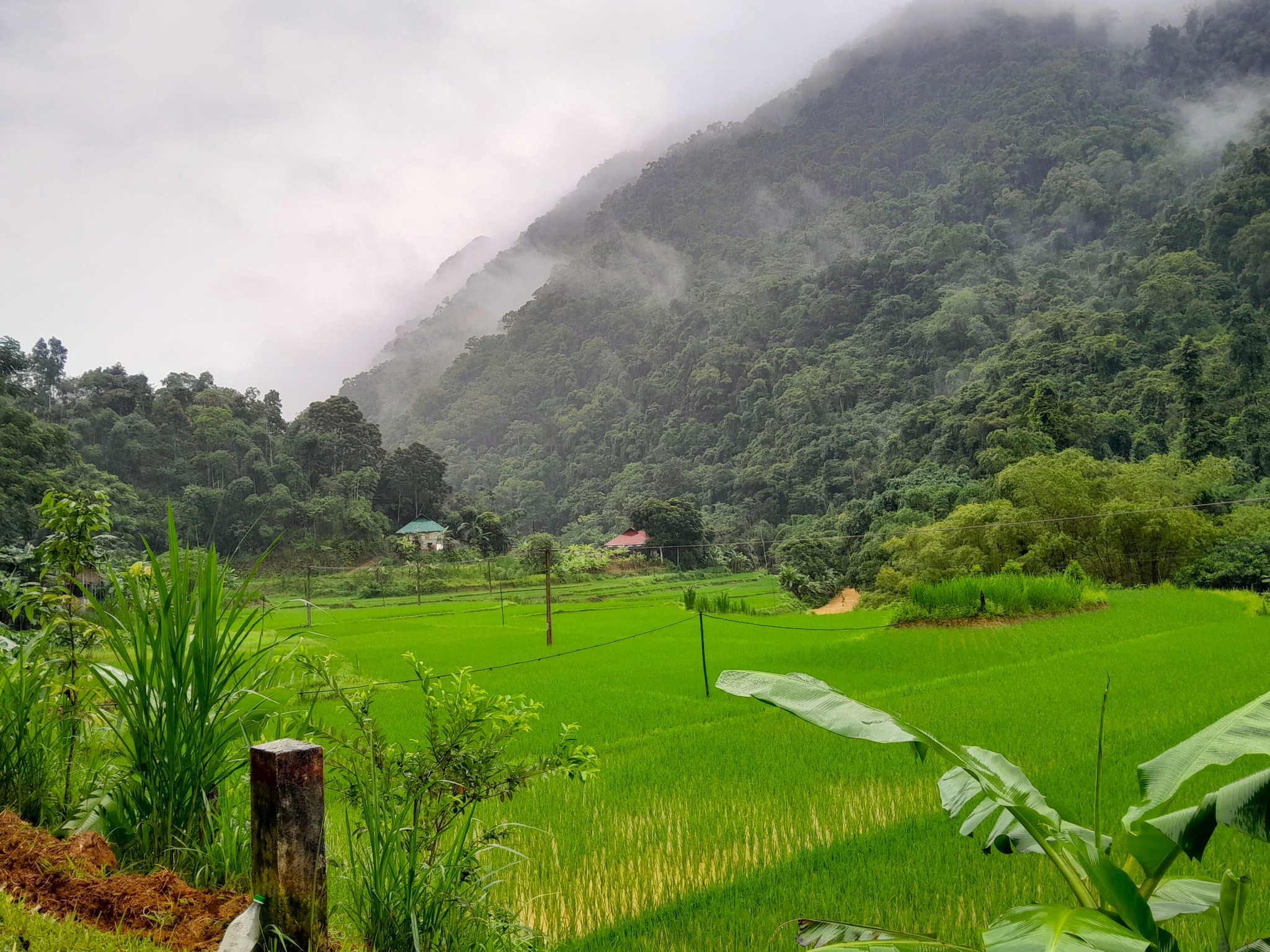 Đến Pù Luông mùa vàng đừng quên thưởng thức những món ăn đặc sản này - Ảnh 1.