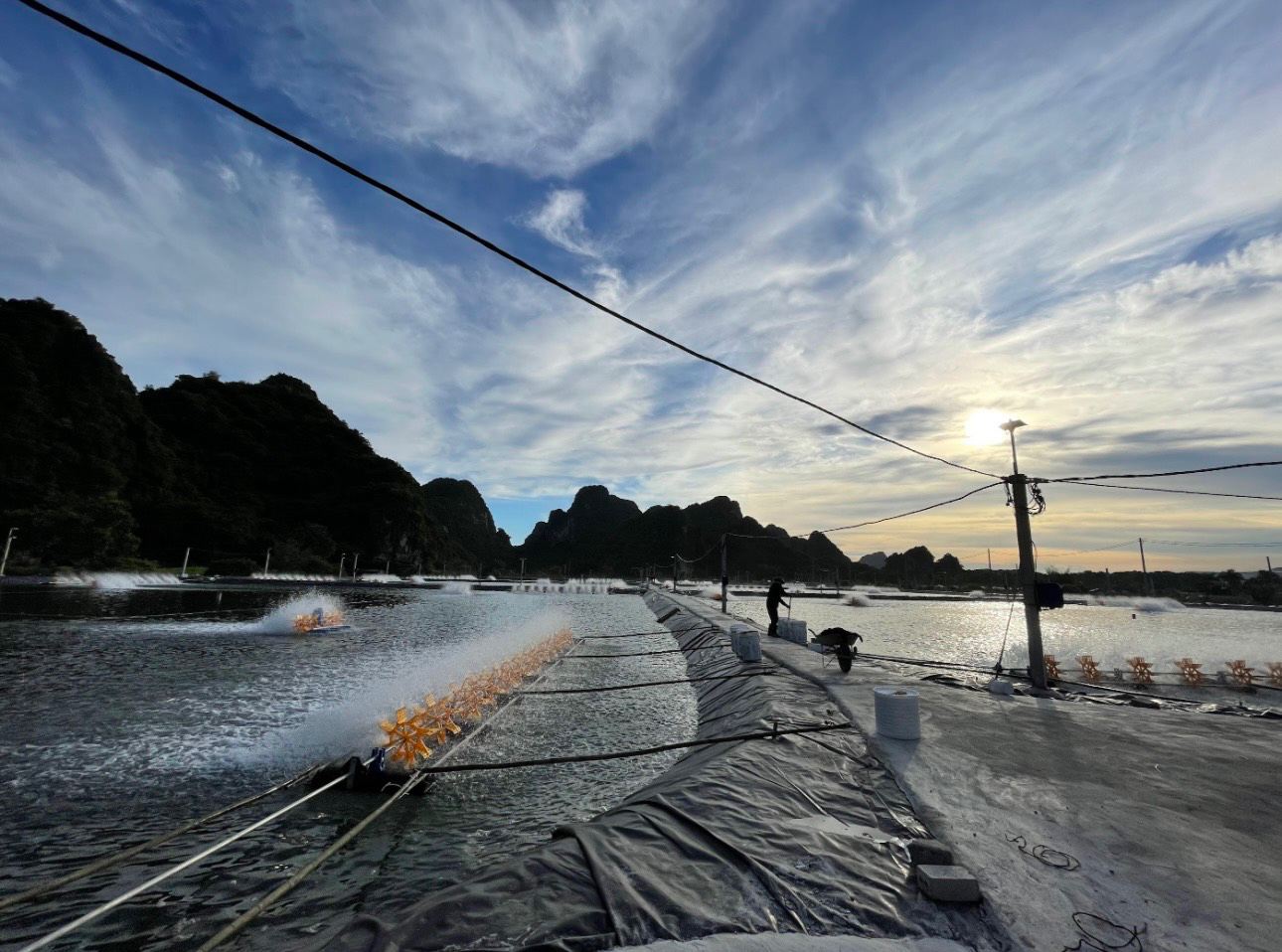 Nông dân gượng dậy thế nào sau bão Yagi: Thiệt hại 100 tỷ đồng, Nhật Long đứng lên sau đổ nát (Bài 2) - Ảnh 5.