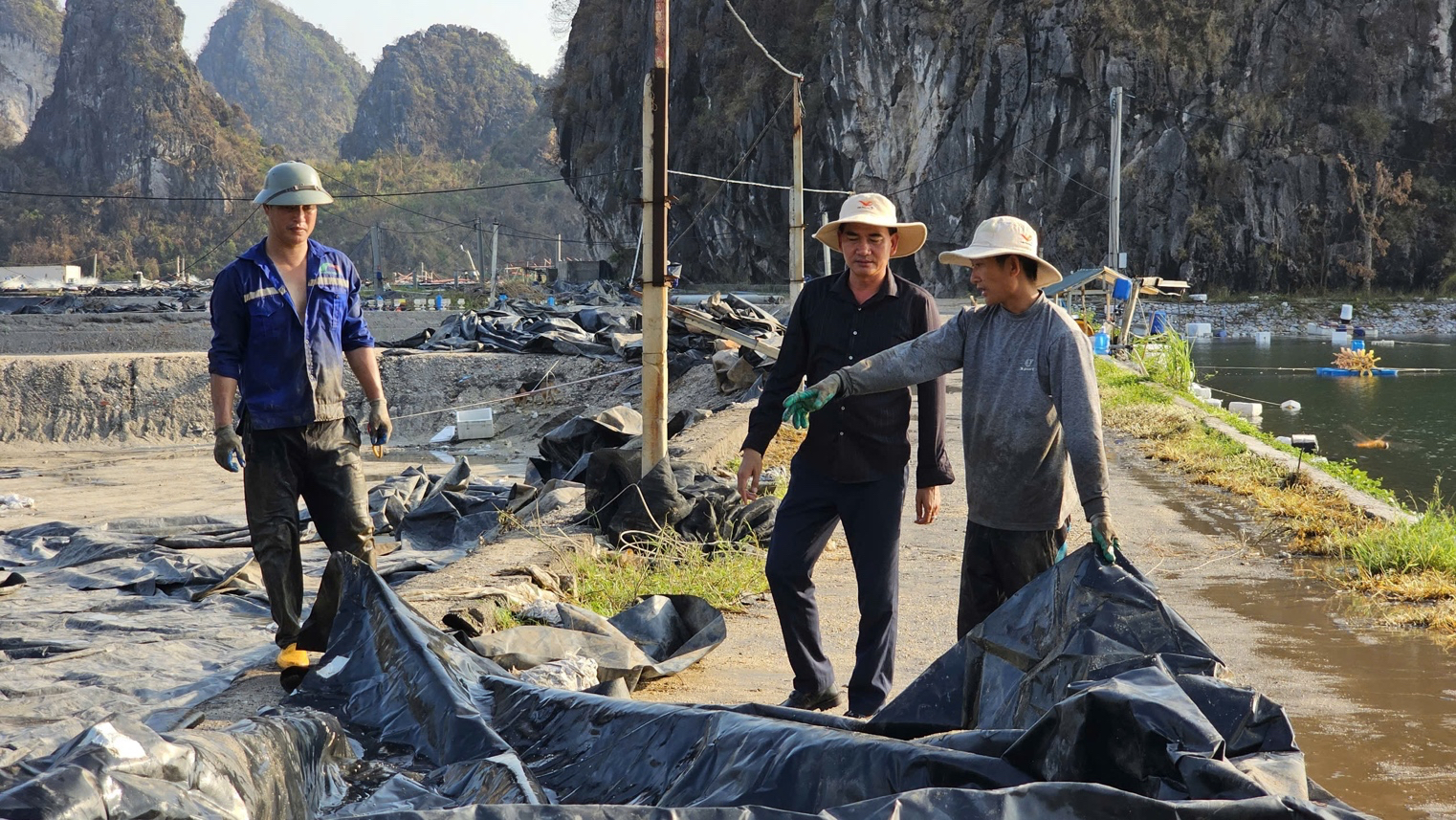 Nông dân gượng dậy thế nào sau bão Yagi: Thiệt hại 100 tỷ đồng, Nhật Long đứng lên sau đổ nát (Bài 2) - Ảnh 8.