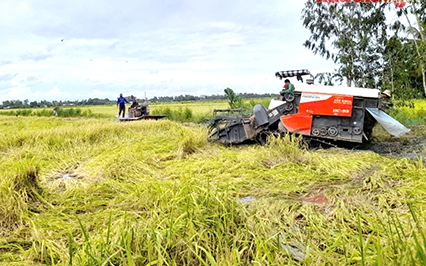 Lê Thánh Tông, hoàng đế thứ 4 triều nhà Lê Sơ, vị vua anh minh bậc nhất với 10 thành tựu đỉnh cao - Ảnh 4.