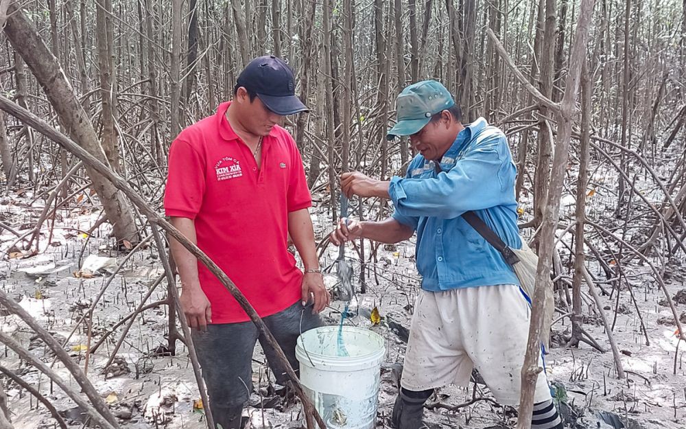 Ở một nơi của Đắk Lắk có một ông nông dân U70 vẫn thu bạc tỷ từ vườn sầu riêng đẹp như phim - Ảnh 1.